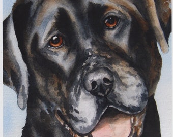 Black lab watercolor art print, 8x10 Labrador Retriever artwork