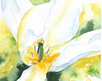 Tulip artwork, Square original watercolor floral painting, botanical art, wall decor, white tulip flower painting, 5x5