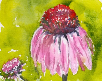 Pink coneflower echinacea flower original watercolor painting