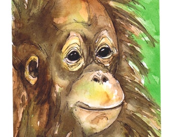 Baby orangutan Print from a watercolor painting, 8x10 reproduction print,baby zoo animal, orangutan portrait painting