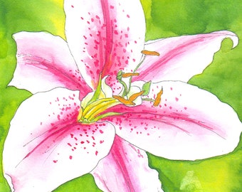 Watercolor original painting of a pink and white lily flower, floral wall art, ready to gift or frame