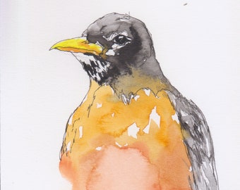 Robin bird original watercolor line and wash painting pen and ink drawing