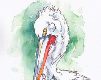 Pelican bird original watercolor line and wash painting