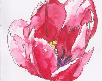 Pink and red Tulip flower line and wash original pen and ink watercolor painting 6x8