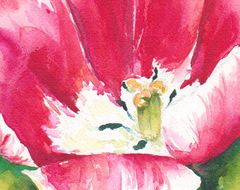 Red and white tulip original watercolor painting, tulip art, Spring wall decor, close up of a tulip, floral artwork, botanical art, 8 x 10