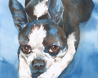 Boston terrier dog painting, Boston terrier pet portrait, dog art, original watercolor pet portrait painting, pet artwork, dog lover gift