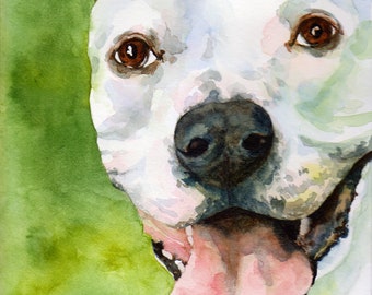 Original watercolor pet portrait painting custom pet memorial dog watercolor hand drawn hand painted 8 x 10