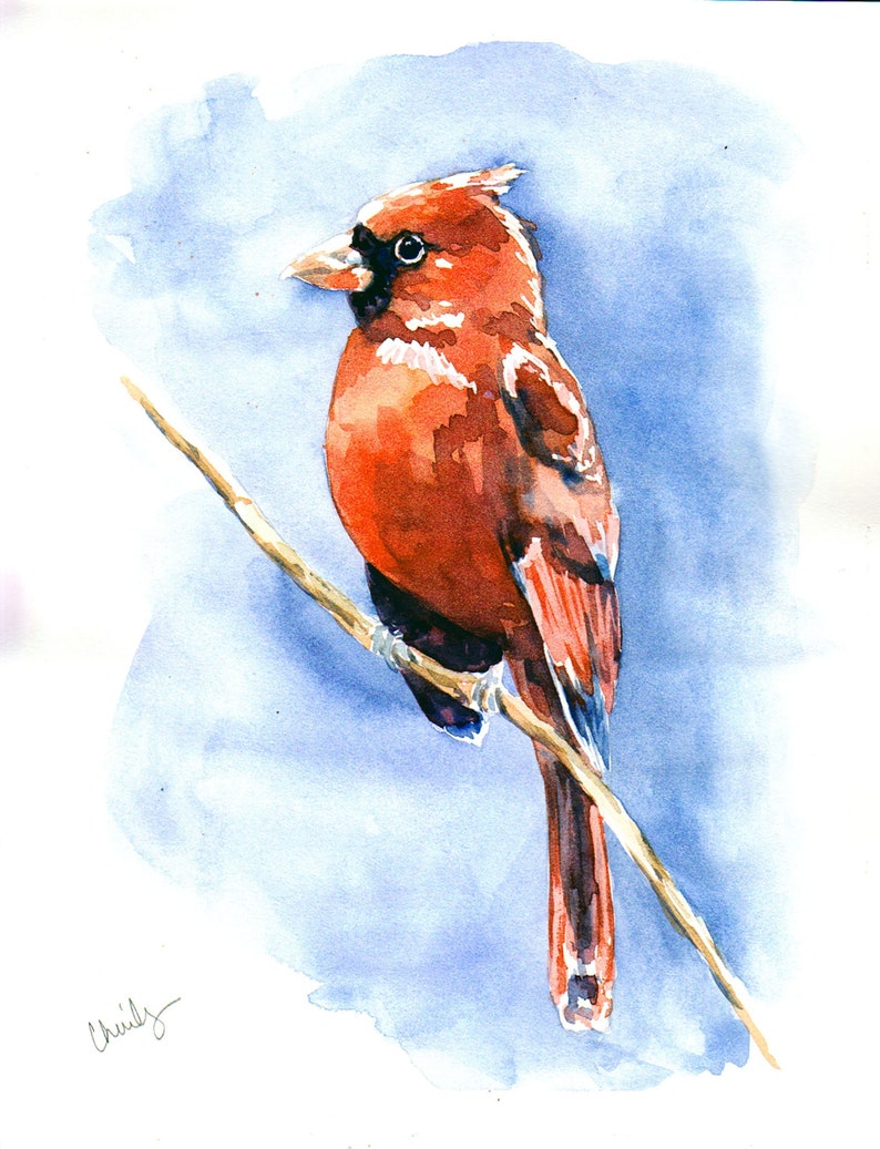 Cardinal bird original watercolor painting aviary artwork 8x10 Red cardinal one of a kind artwork great gift for bird lover