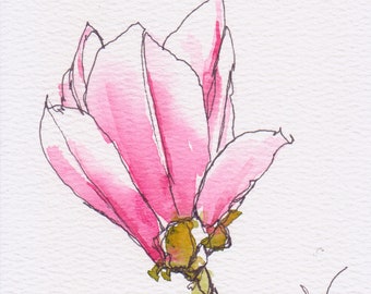 Pink magnolia flower line and wash original pen and ink watercolor painting 8x8