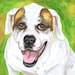 see more listings in the Custom Pet Portraits section