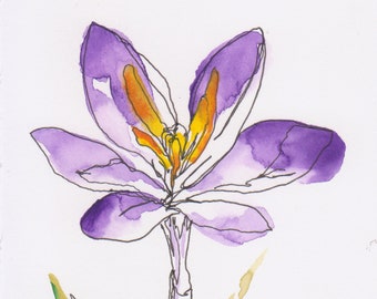 Purple crocus flower line and wash original pen and ink watercolor painting 6x8