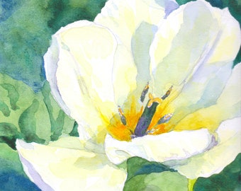 White tulip flower original watercolor painting Spring floral artwork