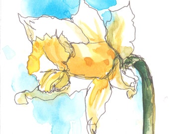 Yellow daffodil flower line and wash watercolor painting 6x8