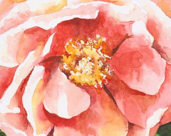 Pink Knockout rose watercolor art print 5x7