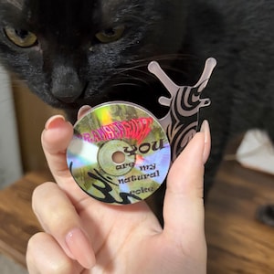 May include: A compact disc with the words "RAWBERRY" and "YOU" in a colorful design. The disc is held by a person's hand, with a black cat and a decorative snail-shaped object in the background.