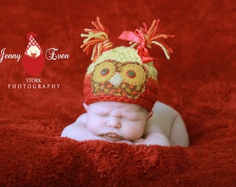 Sombrero de búho recién nacido / Prop de caída de bebé / Traje de búho de bebé / Prop de foto de otoño / Gorro de animal de niña bebé / Traje de Halloween / Regalo de ducha de bebé