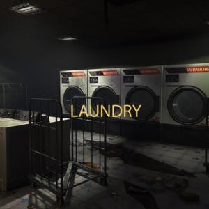 May include: A dimly lit laundromat interior featuring several washing machines with the word "WIWANG" on them. The word "LAUNDRY" is displayed in gold lettering. Laundry carts and folding tables are also visible.
