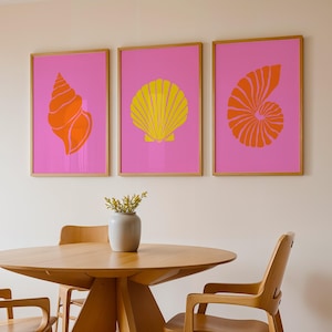 Könnte beinhalten: Drei rechteckige Wandbilder in hellen Holzrahmen, jeweils mit einem leuchtend pinken Hintergrund. Das linke Bild zeigt eine orangefarbene Spiralschnecke, das mittlere eine gelbe Jakobsmuschel und das rechte eine orangefarbene Nautilus-Muschel.