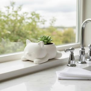 Może przedstawiać: Biała ceramiczna doniczka w kształcie kota z sukulentem. Doniczka ma uśmiechniętą twarz i leży. Sukulent jest zielony i siedzi w małej doniczce na grzbiecie kota.