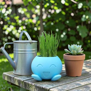 May include: A light blue, smiling face planter with green grass, a small succulent in a terracotta pot, and a silver watering can on a wooden table. The background is a blurred green garden.