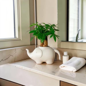 Puede incluir: Una maceta blanca de cerámica con forma de elefante que contiene una pequeña planta verde. La maceta tiene una trompa y orejas, y está sobre una encimera. Una botella pequeña y una toalla blanca doblada están junto a la maceta.