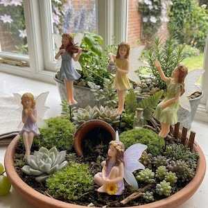 Könnte beinhalten: Ein Miniatur-Feengarten in einem Terrakotta-Topf, mit mehreren Feenfiguren mit Flügeln, gekleidet in Pastellfarben. Der Garten umfasst Sukkulenten, Moos und kleine Pflanzen, wodurch eine skurrile Szene entsteht. Ein Miniaturzaun und ein kleiner Topf sind ebenfalls enthalten.