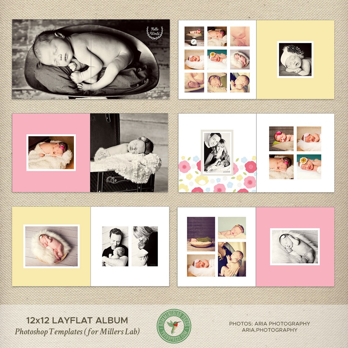 12x12 Millers Lab Layflat Album Template Newborn Photo Album Etsy