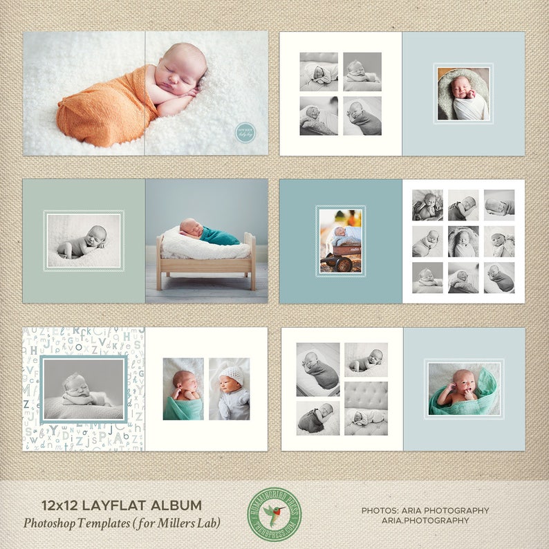 12x12 Millers Lab Layflat Album Template Newborn Photo Album Etsy