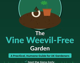 The Vine Weevil-Free Garden | UK Garden Pest Guide | Vine Weevil Treatment & Control PDF