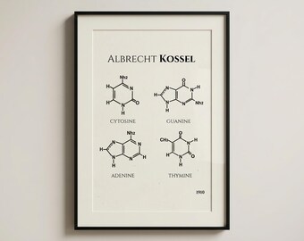 Albrecht Kossel DNA-basen print: cytosine, guanine, adenine, thymine poster