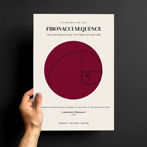 May include: A rectangular poster with a cream background featuring a large maroon circle containing a black Fibonacci spiral. Text reads: THE INVISIBLE LAWS NO 7, FIBONACCI SEQUENCE, THE MATHEMATICAL PATTERN OF NATURE, LEONARDO FIBONACCI 1202.