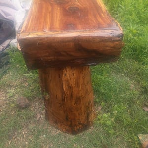 Può includere: Una panca in legno fatta a mano con una ricca finitura marrone-rossastra. La panca presenta una seduta spessa e rettangolare sostenuta da una base robusta e dall'aspetto naturale. La venatura del legno è visibile, aggiungendo al suo fascino rustico.
