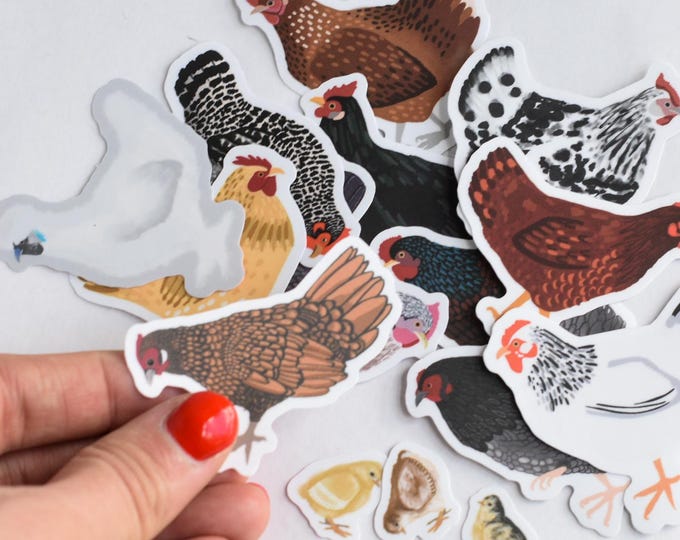 Chicken Stickers: Hens and Chicks, Matte Die Cut (Set of 12)