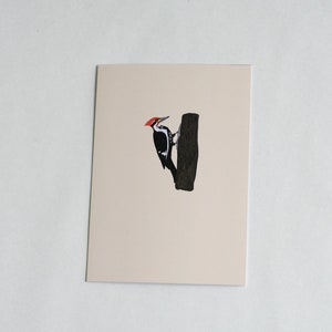 Blanko Grußkarte |  PILEATED SPEICHER Grußkarte | Song Bird Karte | minimal | Vogel-Beobachter Geschenk | Einfache leere Natur Grußkarte