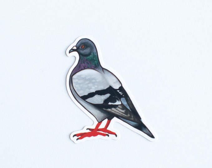 Pigeon Sticker | Rock Dove | 2" Die Cut Bird Sticker