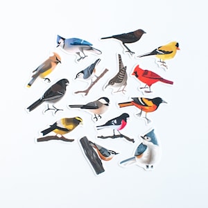 Song Bird Stickers Set of 14 Songbird Stickers 2 Matte Die Cut Bird Stickers image 1