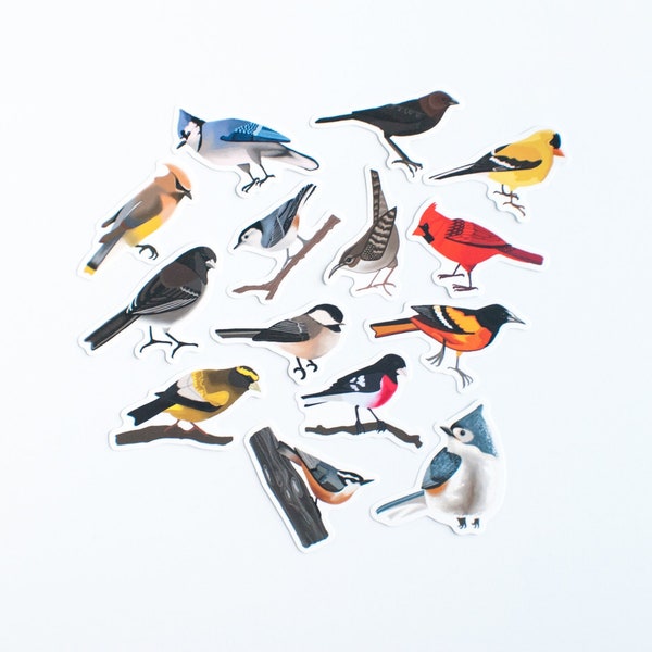 Songbird Stickers: North American Birds, Matte Die Cut (Set of 14)