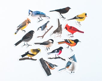Song Bird Stickers | Set of 14 Songbird Stickers | 2" Matte Die Cut Bird Stickers