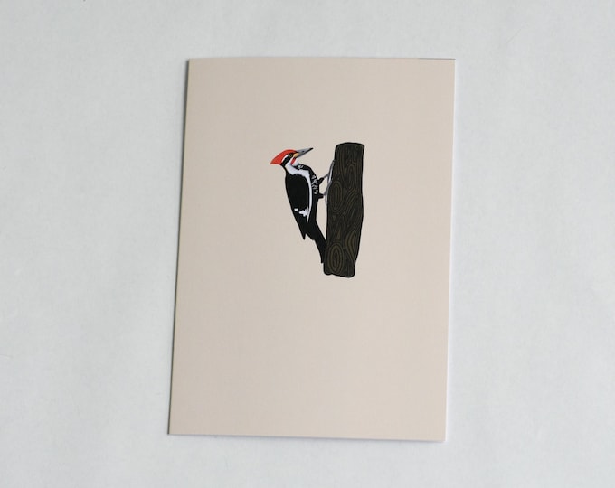 Blank Greeting Card |  PILEATED WOODPECKER Greeting Card | Song Bird Card | Minimal | Bird Watcher Gift | Simple Blank Nature Greeting Card