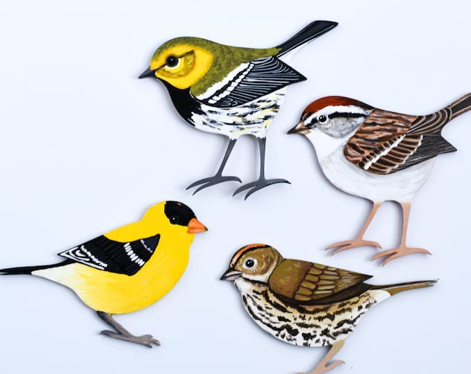 CUSTOM Song Bird Wooden Wall Art | Bird Wall Hanging | 5" Wooden Bird Wall Hanging | For Bird Nerds | Custom Bird Art | Bird Watcher Gift