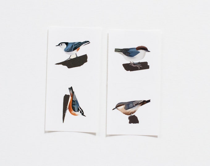 Round Nuthatch Stickers | 4 Nuthatch Stickers | 1.5" Round Glossy Bird Stickers