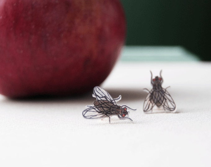 Fly Post Earrings | Stud Earrings | Insect, Bug, Entomology, House Fly | Wearable Art | Hand Drawn on Shrink Plastic