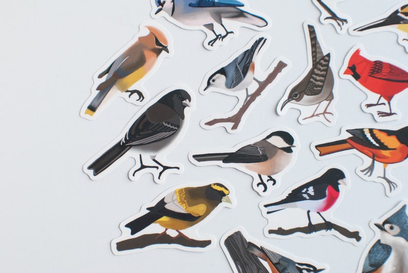 Song Bird Stickers Set of 14 Songbird Stickers 2 Matte Die Cut Bird Stickers image 3