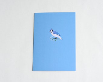 Cartão de felicitações em branco | Cartão de felicitações BLUE JAY | Cartão de pássaros canoros | Minimalista | Presente para observadores de pássaros | Cartão de felicitações simples em branco sobre a natureza | Complemento