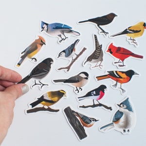 Song Bird Stickers Set of 14 Songbird Stickers 2 Matte Die Cut Bird Stickers image 5