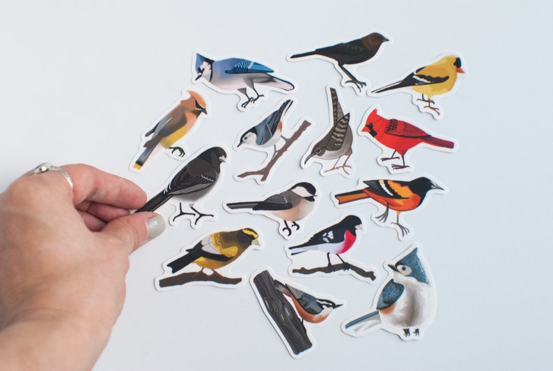 Song Bird Stickers Set of 14 Songbird Stickers 2 Matte Die Cut Bird Stickers image 5