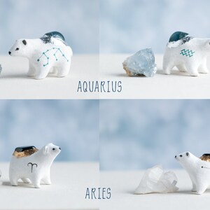 Choose Your Zodiac Polar Bear Astrology Bears Healing Crystals Zodiac Constellations Zodiac Symbols A Creature of One Wilderness image 5