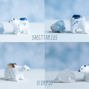 Choose Your Zodiac Polar Bear Astrology Bears Healing Crystals Zodiac Constellations Zodiac Symbols A Creature of One Wilderness image 9