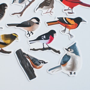 Song Bird Stickers Set of 14 Songbird Stickers 2 Matte Die Cut Bird Stickers image 4