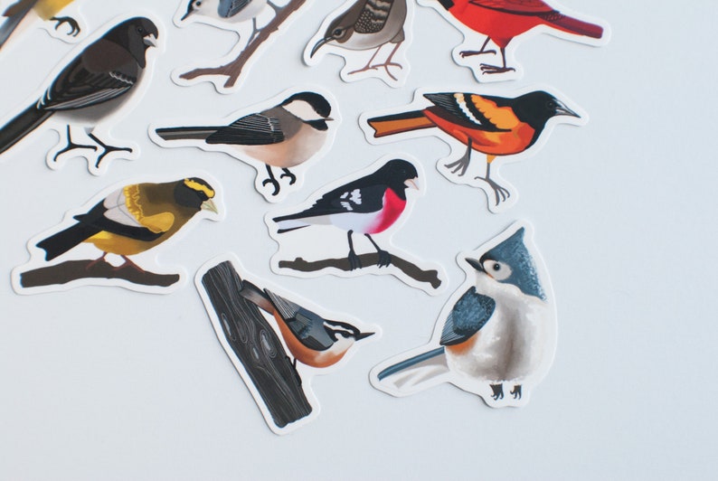 Song Bird Stickers Set of 14 Songbird Stickers 2 Matte Die Cut Bird Stickers image 4